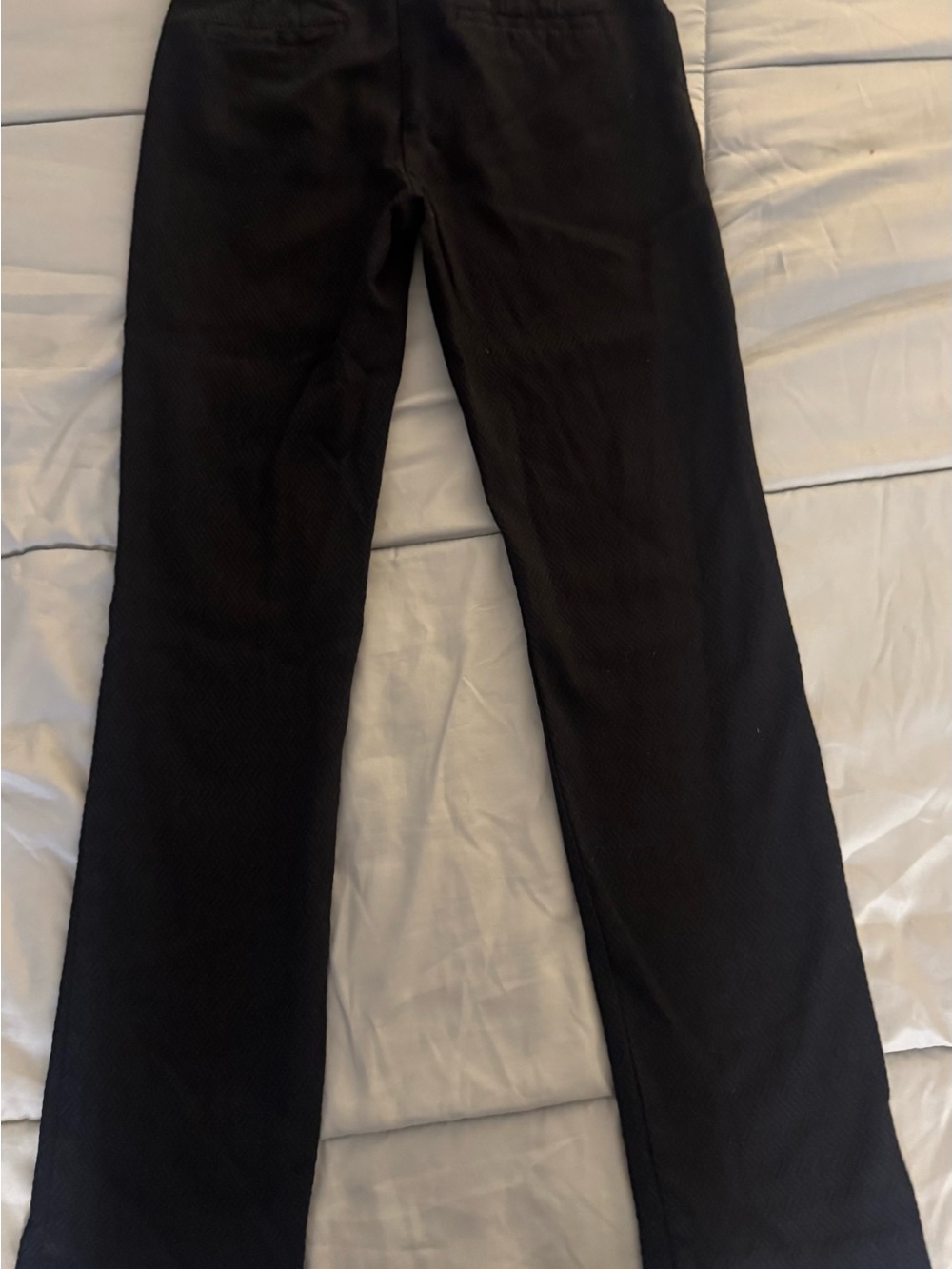 Mario Serrani Black Straight-Leg Pants for Women